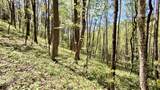 000 Cold Mountain Road - Photo 8