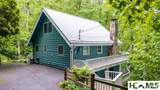 583 Woods Mountain Trail - Photo 3