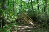 TMI 33 Toxaway Drive - Photo 3