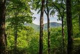 TMI 33 Toxaway Drive - Photo 4