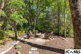164 Shelter Lane - Photo 5