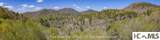 4419 Flat Mountain Road - Photo 15