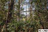 4419 Flat Mountain Road - Photo 5