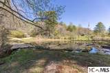 4419 Flat Mountain Road - Photo 6