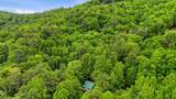 371 Sassafras Gap Road - Photo 10