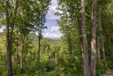 C21 Roaming Road - Photo 7