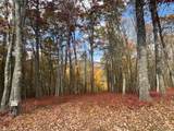 00 Blazing Star Trail - Photo 10