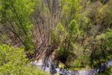 00 Pepperbush Lane - Photo 4