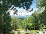 1424 Dowdle Mountain Road - Photo 5