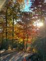 410 Forest Lake Road - Photo 55