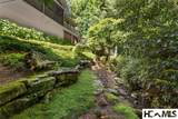 54 Pine Point - Photo 16