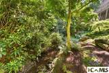 54 Pine Point - Photo 77