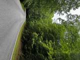 47B Big Pine Road - Photo 4