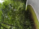 47B Big Pine Road - Photo 7