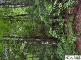 48B Big Pine Road - Photo 3