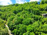 34 Wild Blackberry Ridge - Photo 10