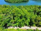 34 Wild Blackberry Ridge - Photo 5
