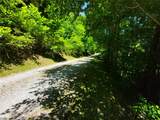 34 Wild Blackberry Ridge - Photo 6