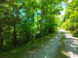 34 Wild Blackberry Ridge - Photo 7