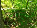 34 Wild Blackberry Ridge - Photo 8