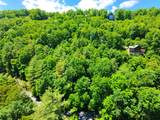 34 Wild Blackberry Ridge - Photo 9
