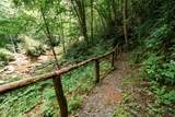 27 Cullowhee Forest Rd Road - Photo 10