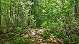 17 Wild River Road - Photo 11