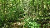 17 Wild River Road - Photo 12