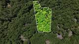 17 Wild River Road - Photo 13