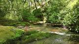 17 Wild River Road - Photo 5