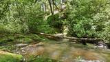 17 Wild River Road - Photo 7