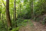 Tr 4 Robinson Creek Road - Photo 14