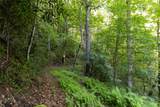 Tr 4 Robinson Creek Road - Photo 15