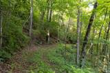 Tr 4 Robinson Creek Road - Photo 16