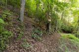 Tr 4 Robinson Creek Road - Photo 17