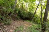 Tr 4 Robinson Creek Road - Photo 18