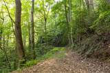 Tr 4 Robinson Creek Road - Photo 19