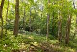 Tr 4 Robinson Creek Road - Photo 20