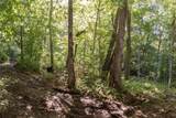 Tr 4 Robinson Creek Road - Photo 22