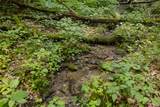 Tr 4 Robinson Creek Road - Photo 24