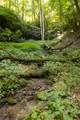 Tr 4 Robinson Creek Road - Photo 25