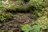 Tr 4 Robinson Creek Road - Photo 26