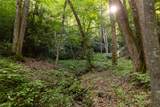 Tr 4 Robinson Creek Road - Photo 28