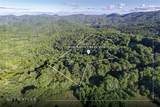 Tr 4 Robinson Creek Road - Photo 3