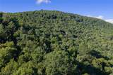 Tr 4 Robinson Creek Road - Photo 31
