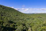 Tr 4 Robinson Creek Road - Photo 32