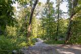 Tr 4 Robinson Creek Road - Photo 4