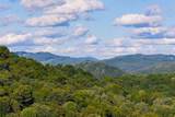Tr 4 Robinson Creek Road - Photo 40