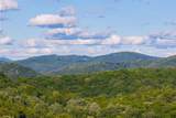 Tr 4 Robinson Creek Road - Photo 41