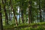 Lot 29 Bullbriar Drive - Photo 12